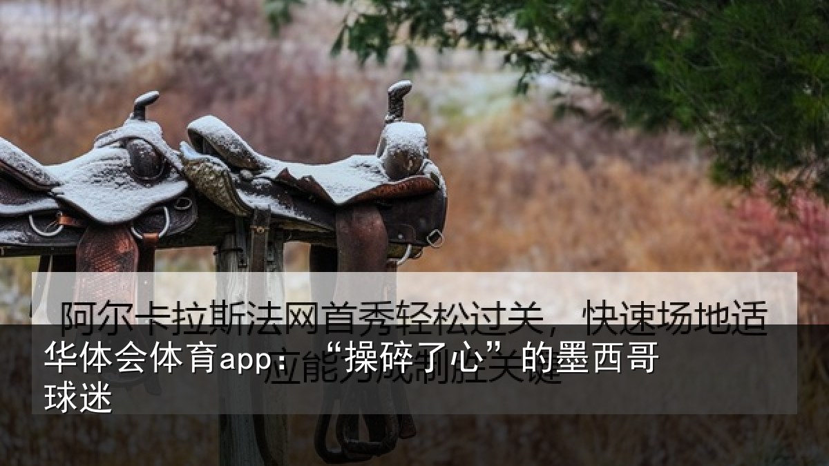 华体会体育app：“操碎了心”的墨西哥球迷