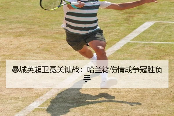 man-cheng-ying-chao-wei-mian-guan-jian-zhan-ha-lan-de-shang-qing-cheng-zheng-guan-sheng-fu-shou-2-502.jpg