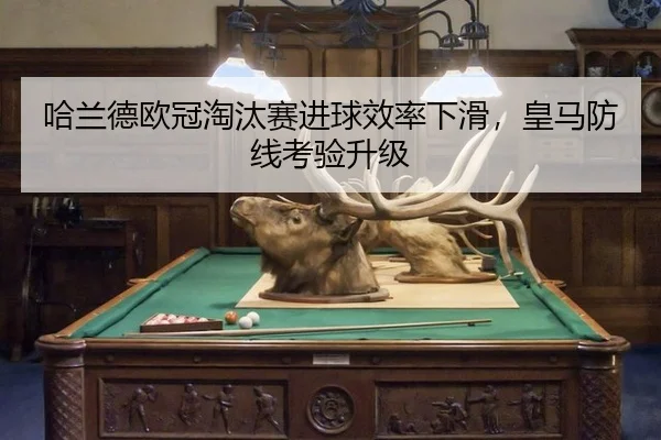 ha-lan-de-ou-guan-tao-tai-sai-jin-qiu-xiao-lv-xia-hua-huang-ma-fang-xian-kao-yan-sheng-ji-3-346.jpg